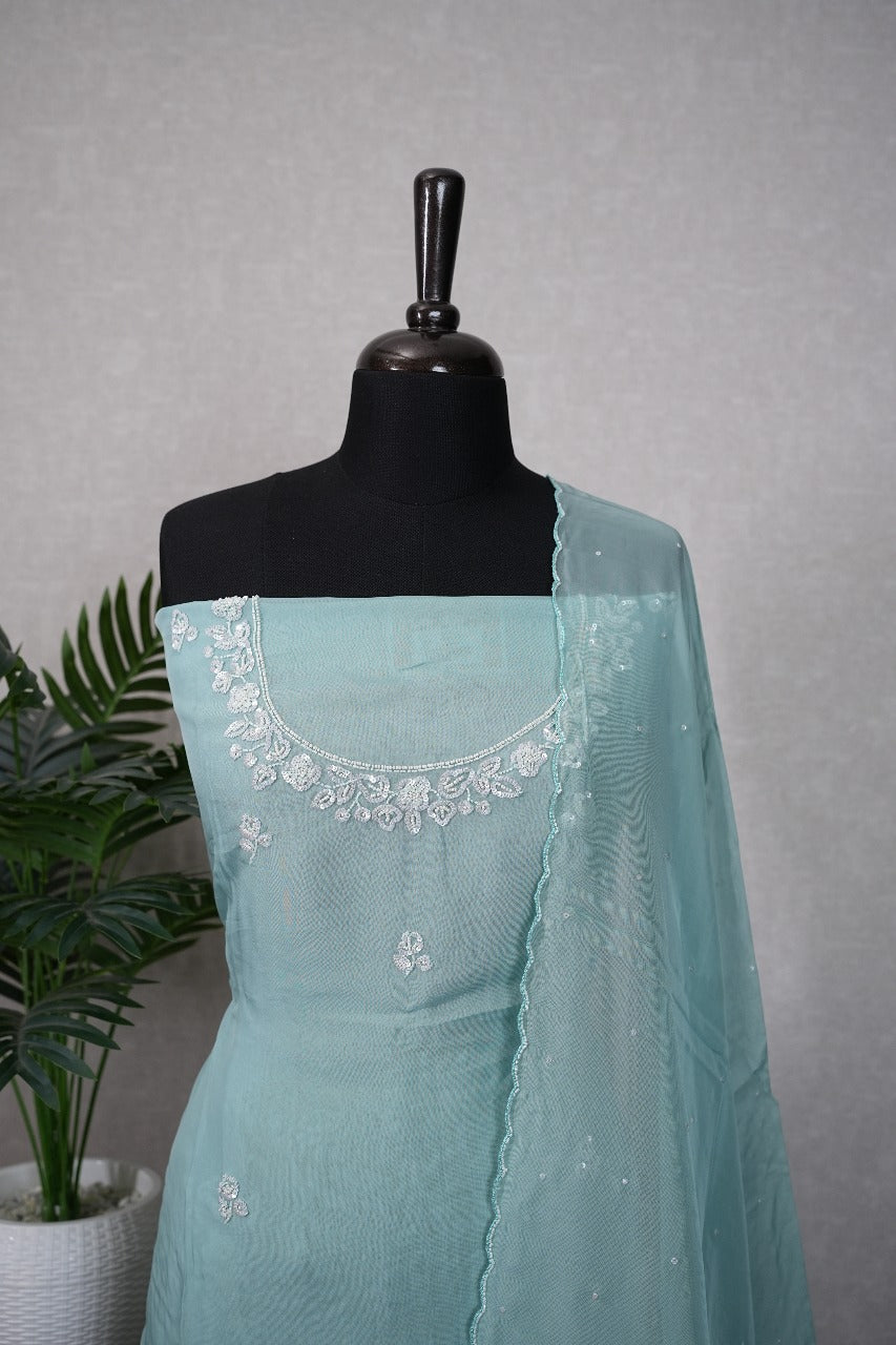 Organza Salwar TSS2450