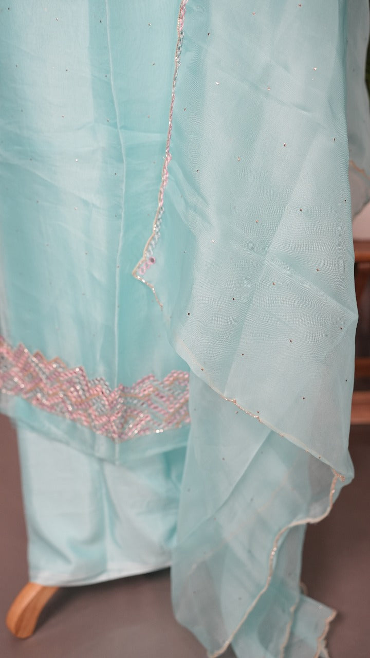 Organza Salwar TSS3559