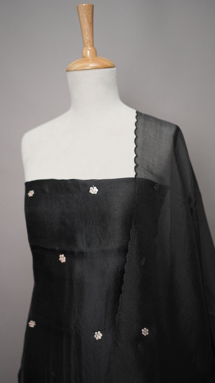 Organza Salwar TSS3516