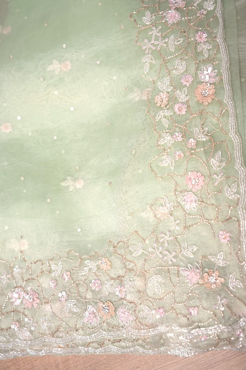 Glass Organza Saree TSA2475