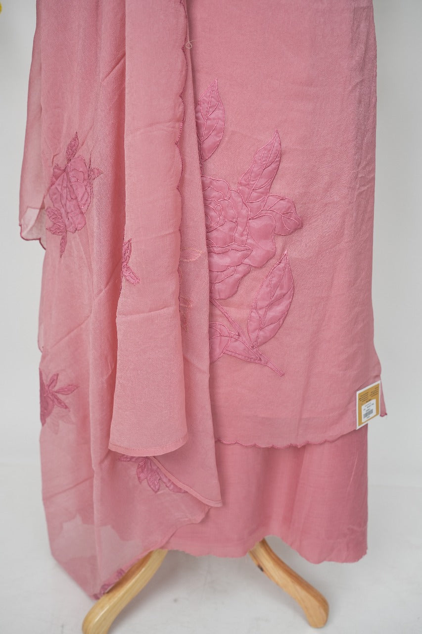 Applique work Salwar TSS3143