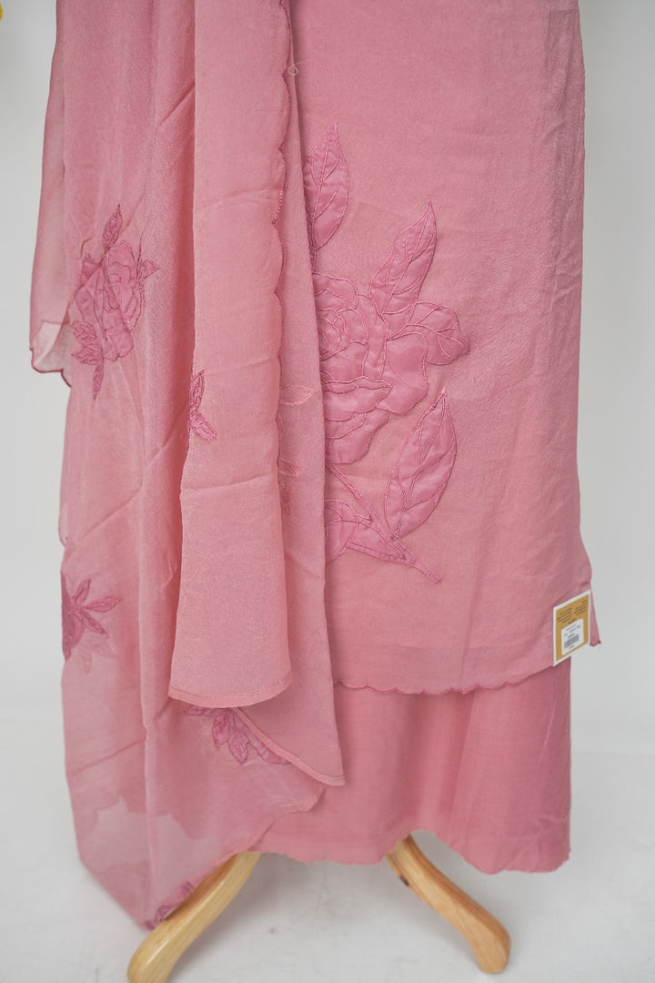 Applique work Salwar TSS3143