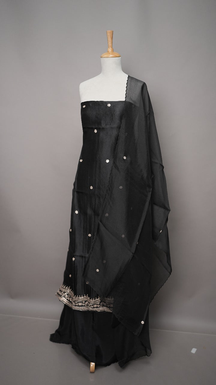 Organza Salwar TSS3516