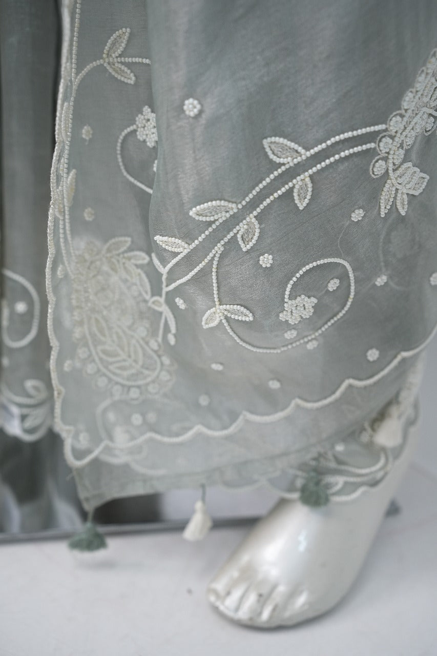 Organza Saree TSA3307