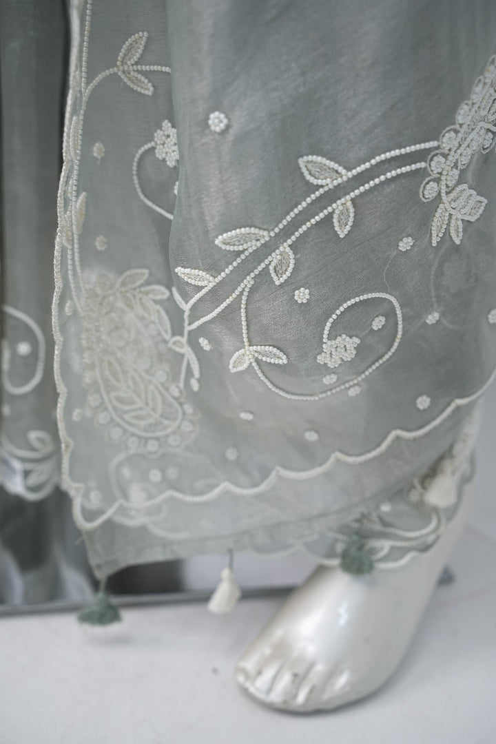 Organza Saree TSA3307