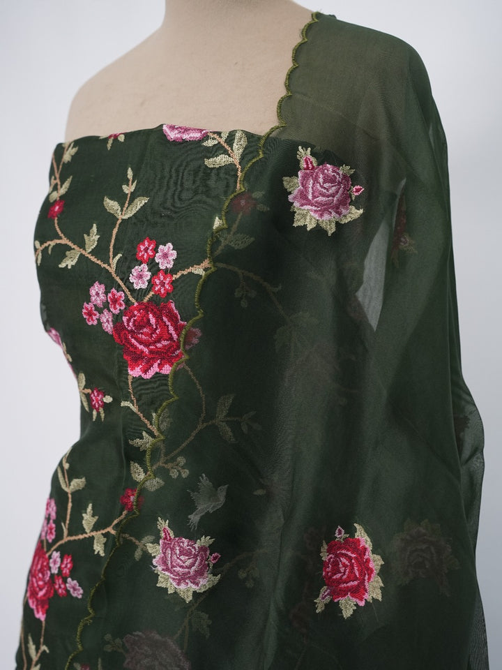 Organza Salwar TSS3278
