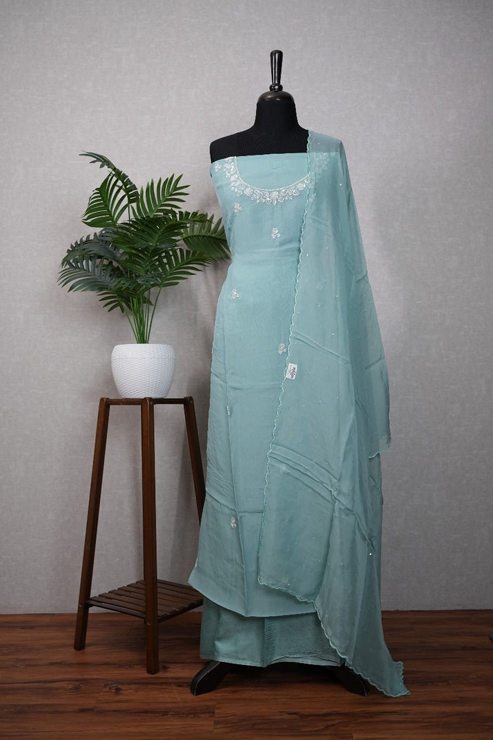 Organza Salwar TSS2450