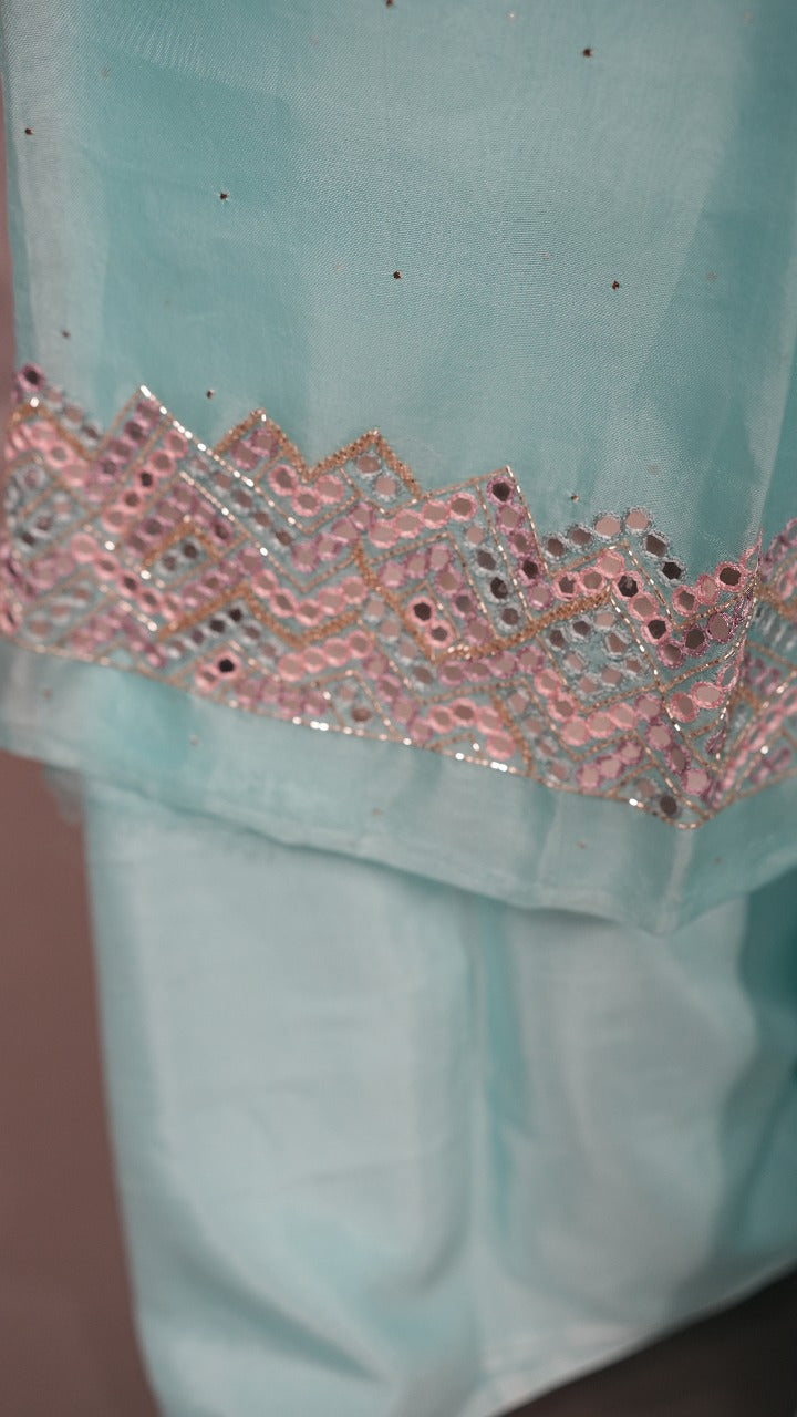 Organza Salwar TSS3559