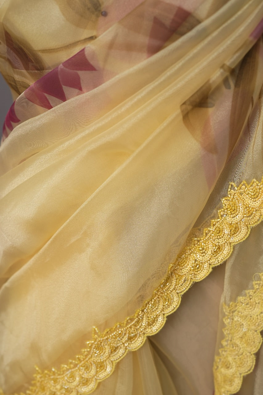 Organza Saree TSA2948