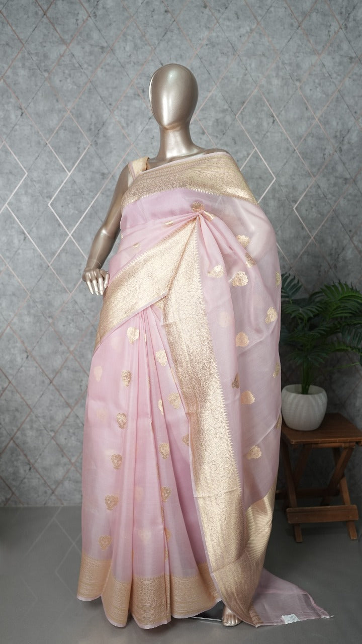 Organza Saree TSA3560