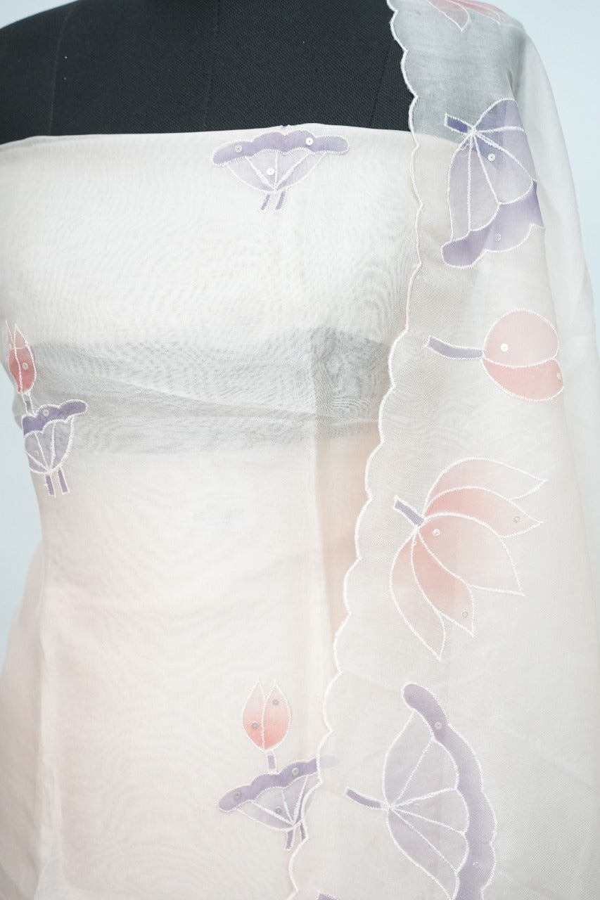 Organza Salwar TSS3218