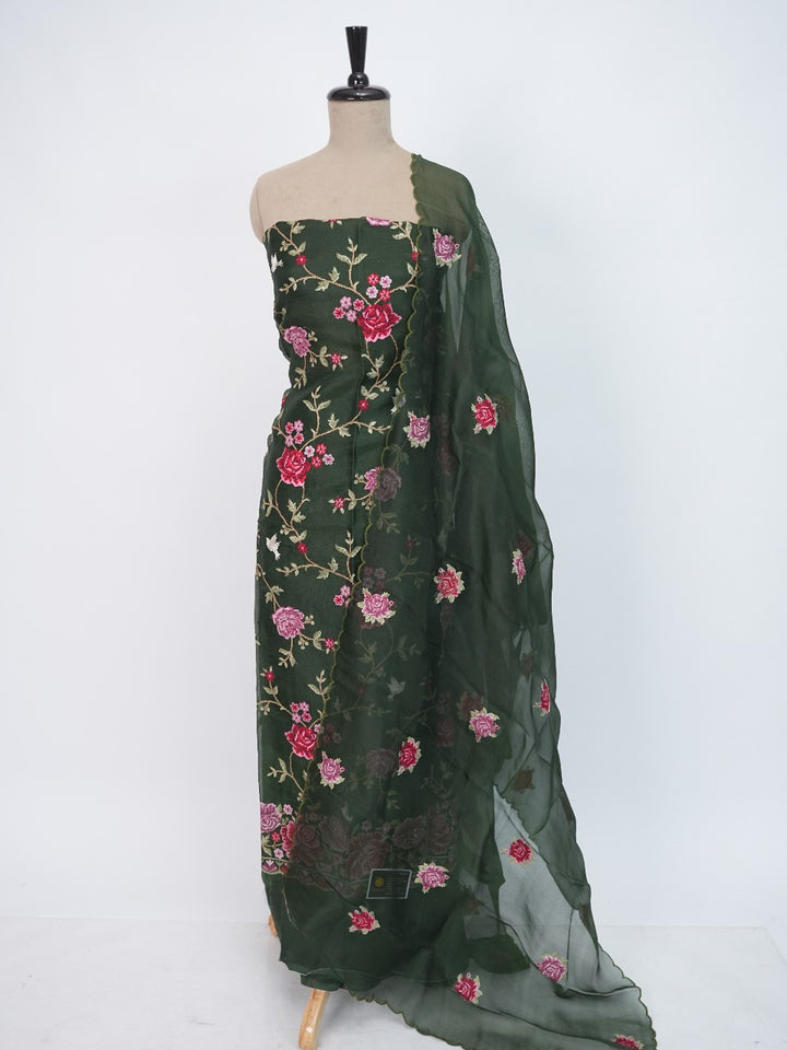 Organza Salwar TSS3278