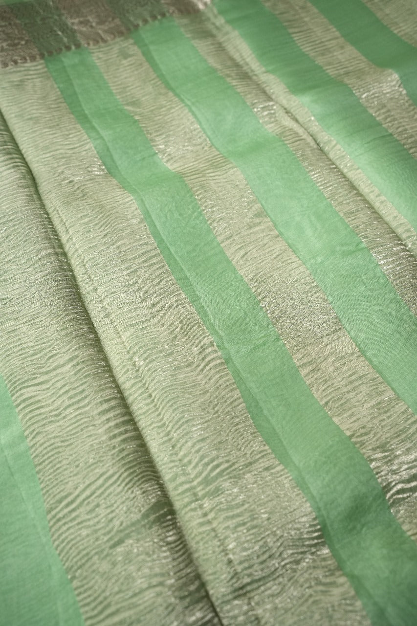 Organza Saree TSA2109