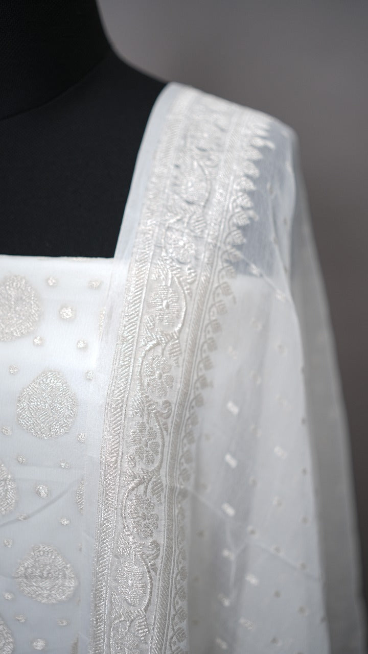 Banarasi  Salwar TSS3523