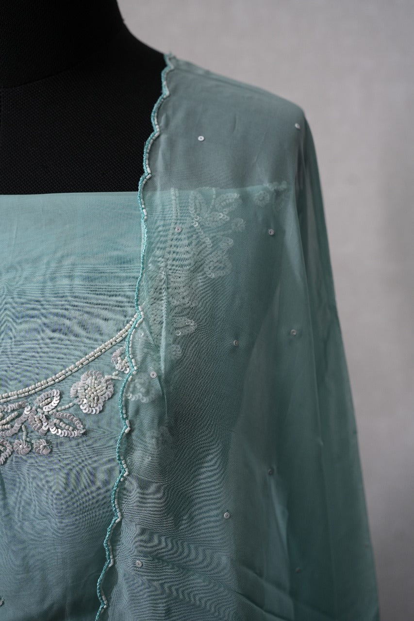 Organza Salwar TSS2450