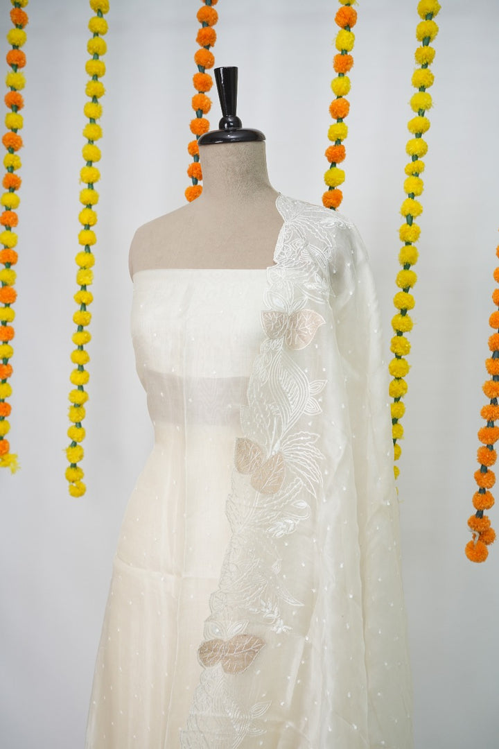 Pure Organza Salwar TSS3155