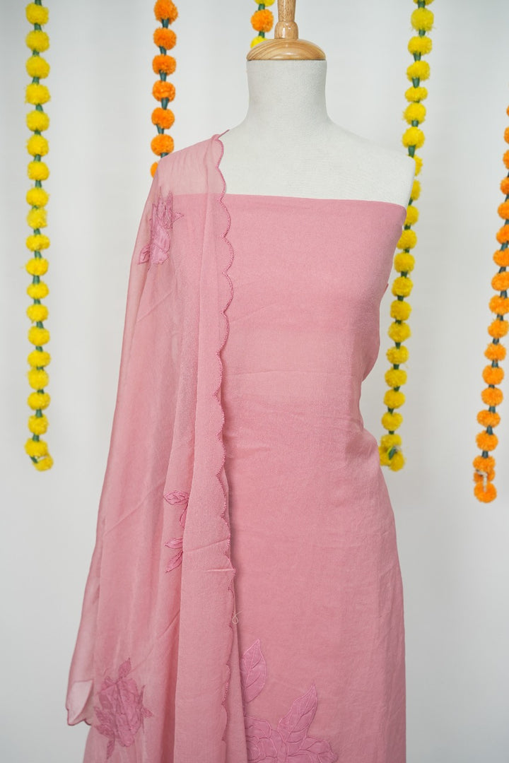 Applique work Salwar TSS3143