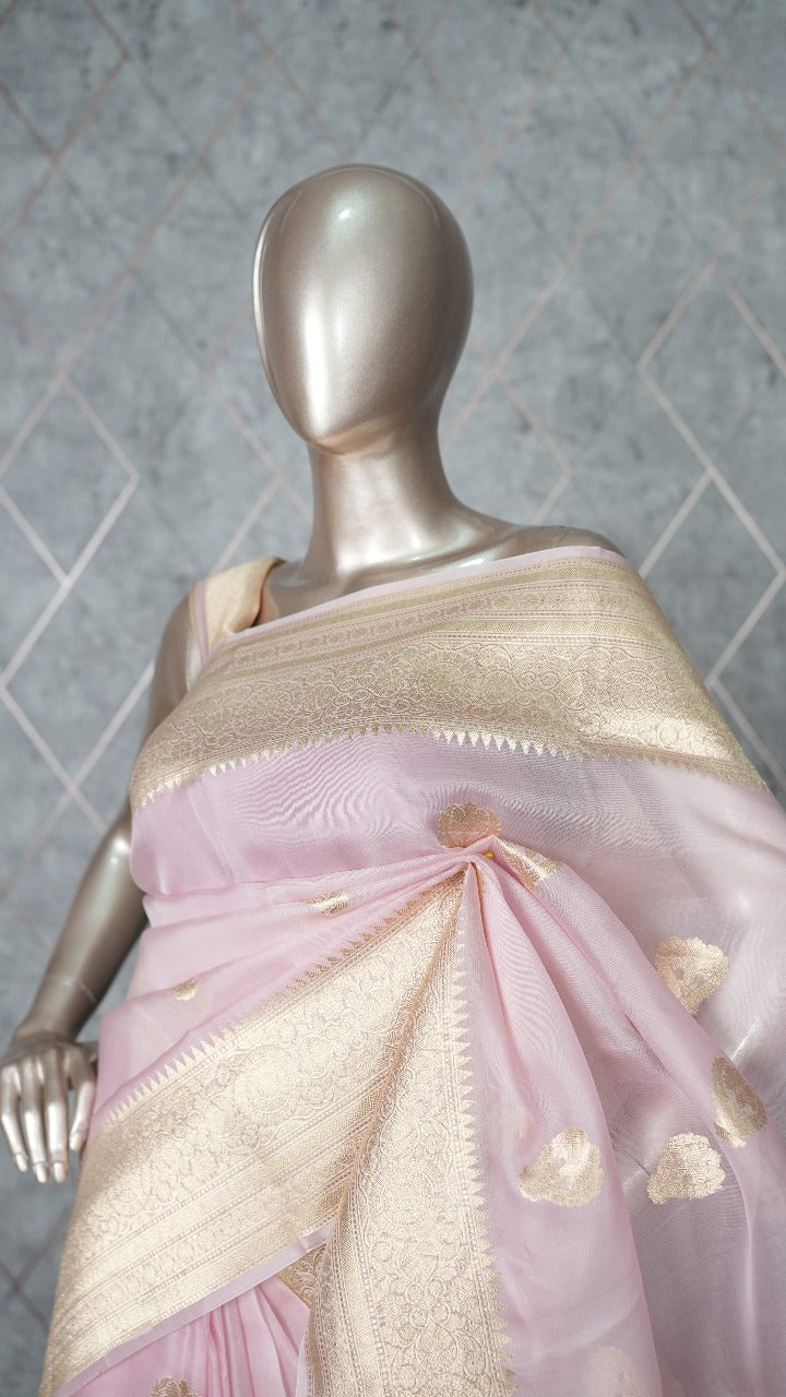 Organza Saree TSA3560