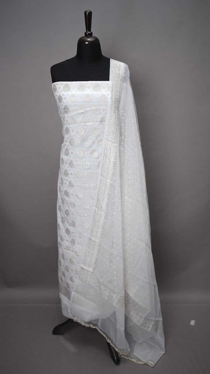 Banarasi  Salwar TSS3523