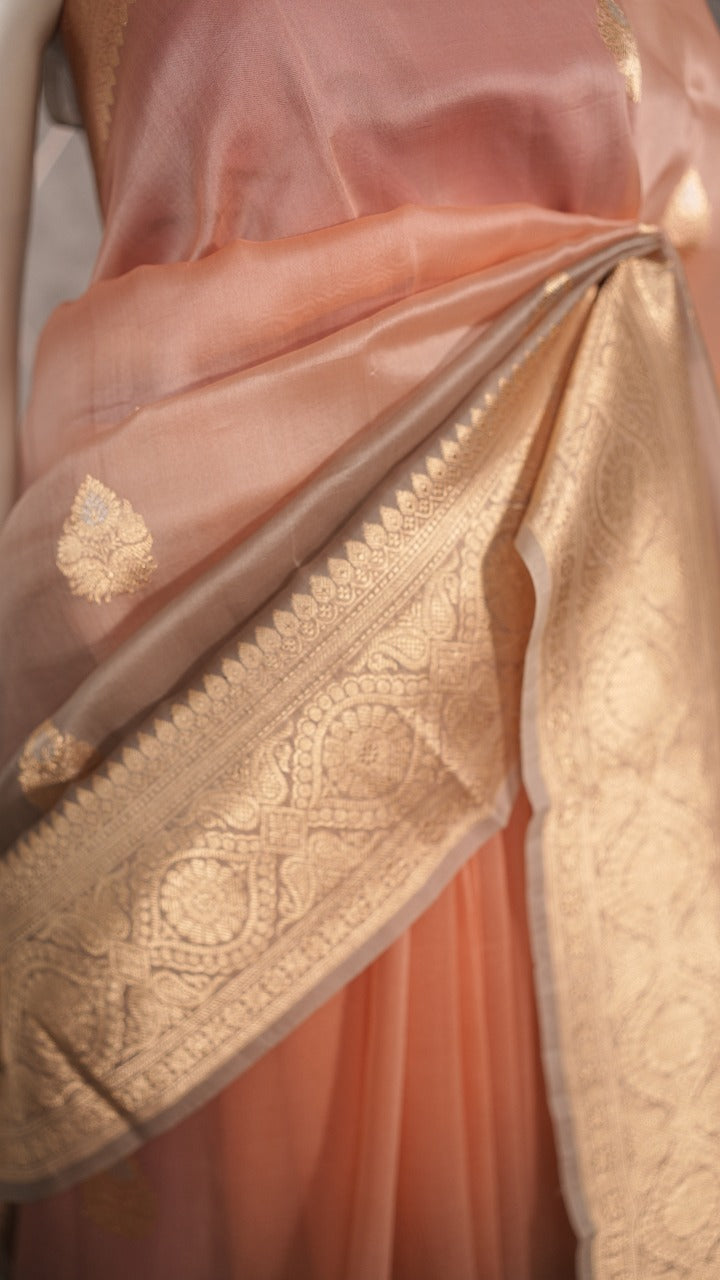 Organza Saree TSA3533