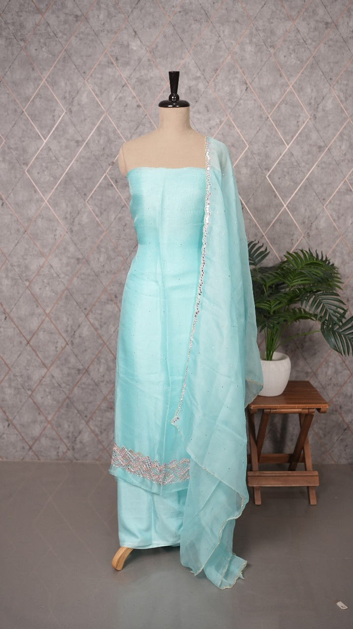 Organza Salwar TSS3559