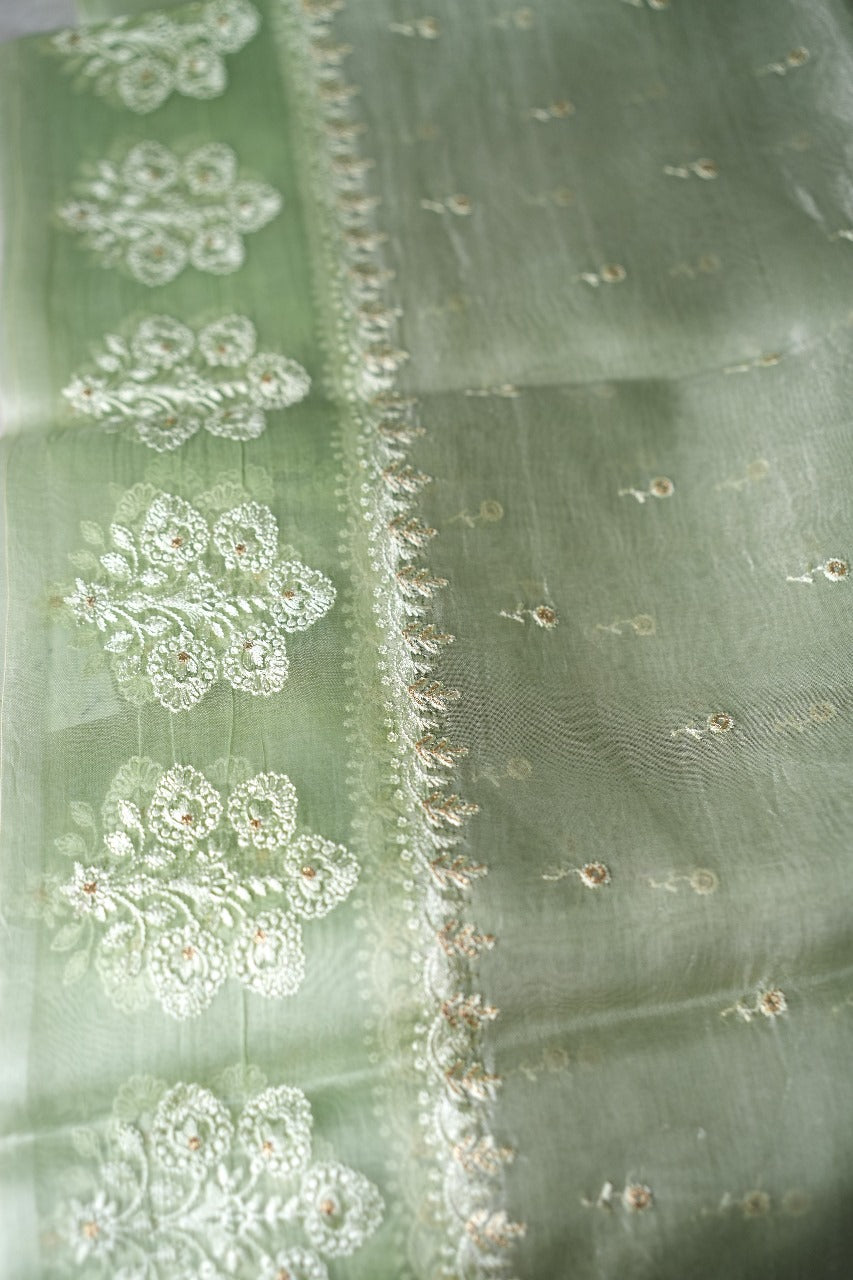 Organza Saree TSA2171