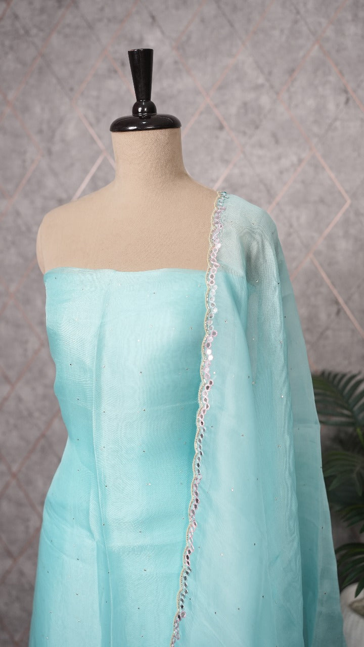Organza Salwar TSS3559