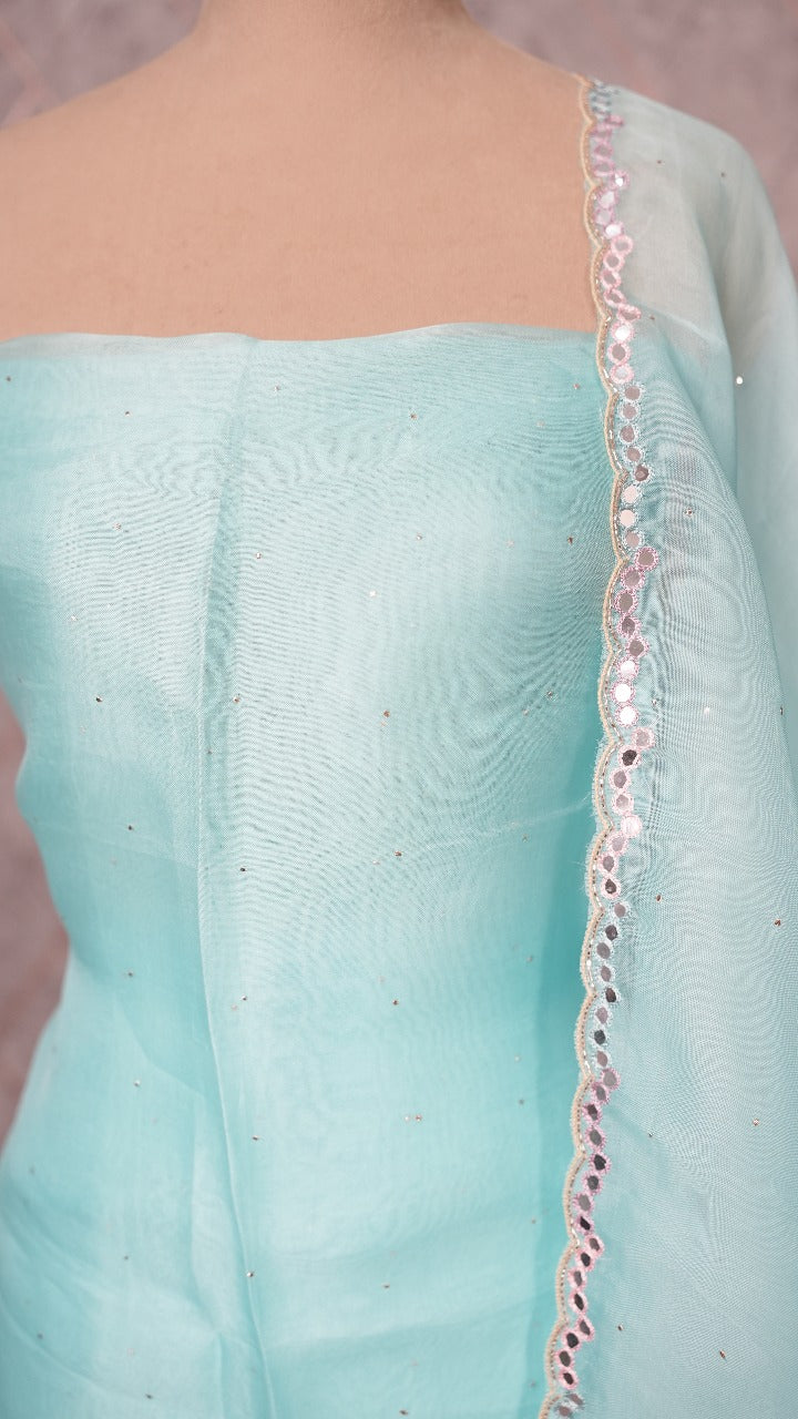 Organza Salwar TSS3559