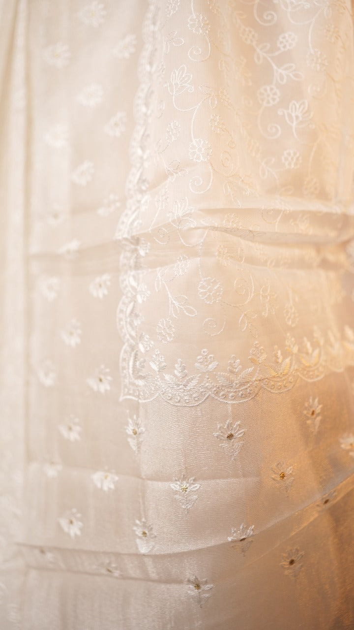 Organza Saree TSA3531