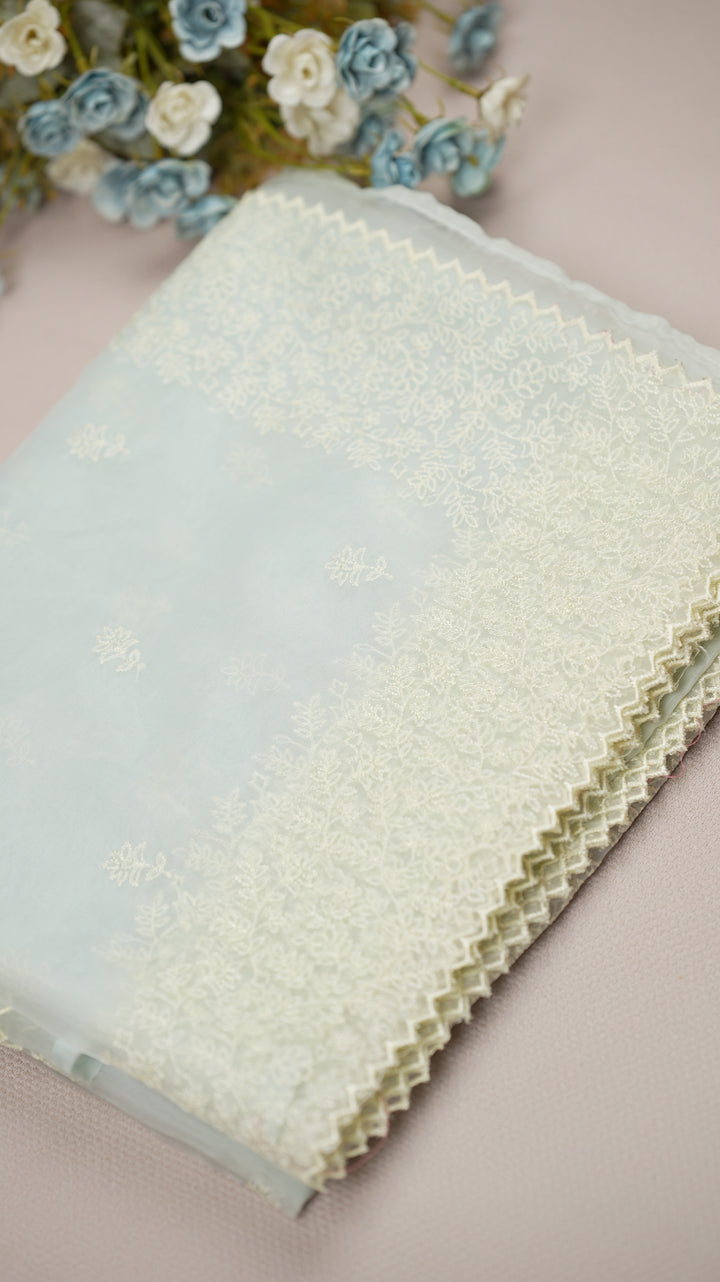 Glass Organza Saree TSA0483