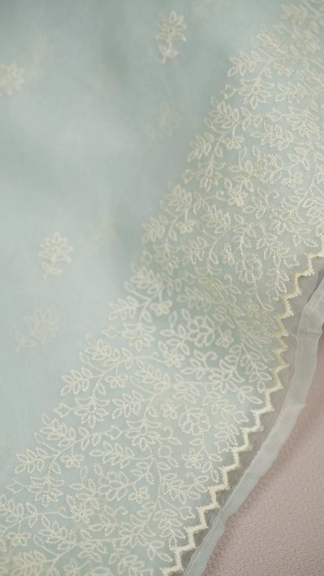 Glass Organza Saree TSA0483