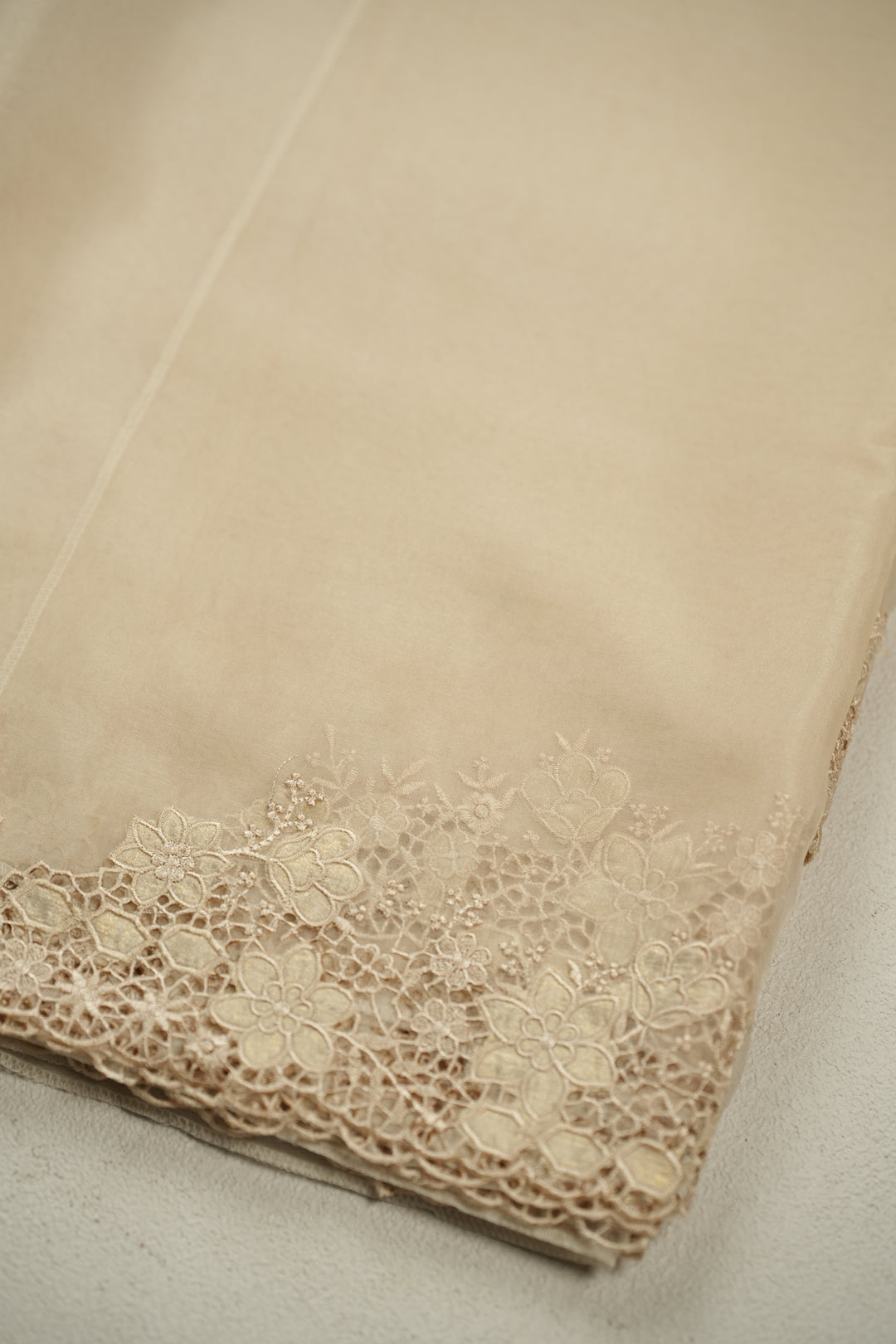 Organza Saree TSA0316