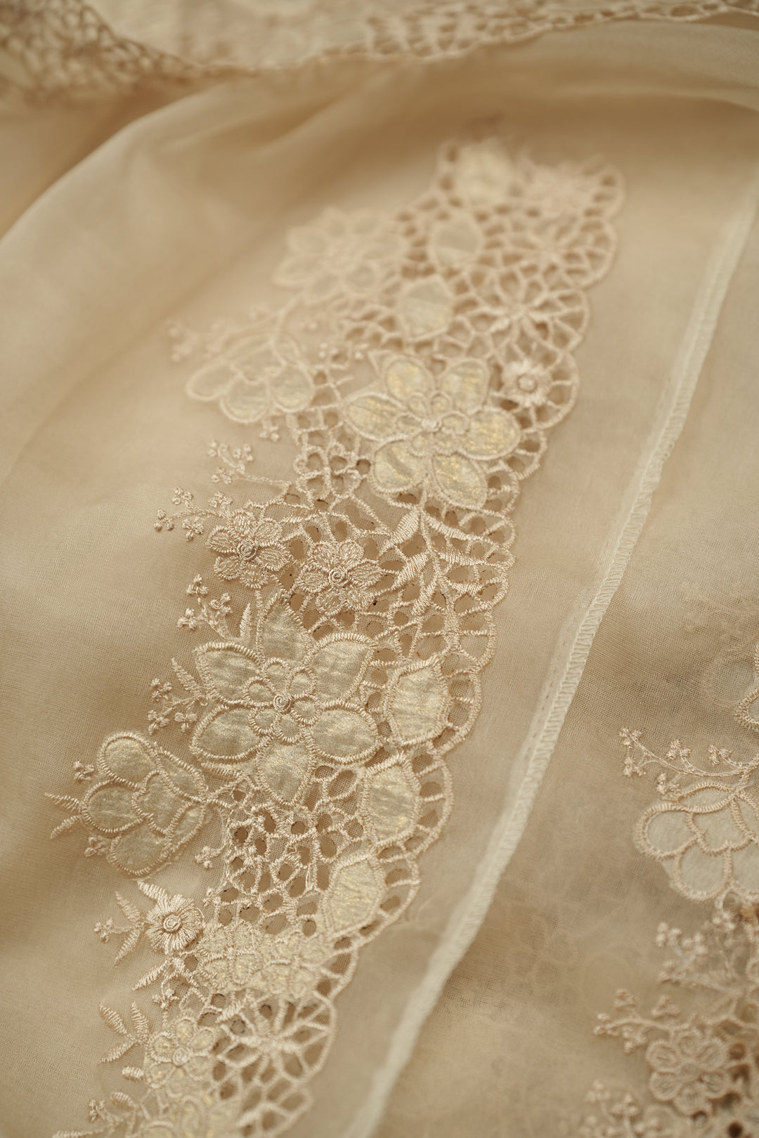 Organza Saree TSA0316