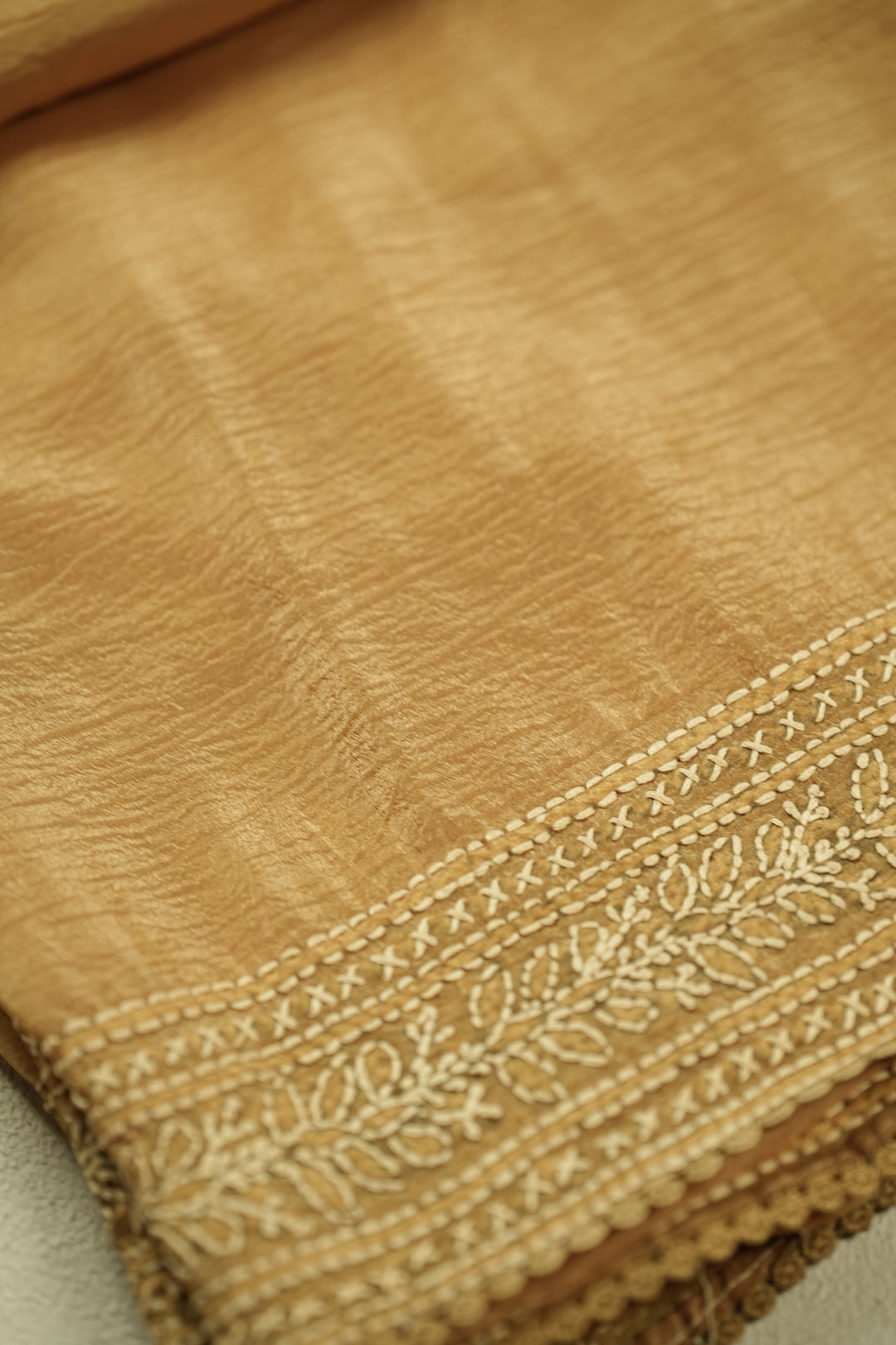 Crushed Organza Saree TSA0320