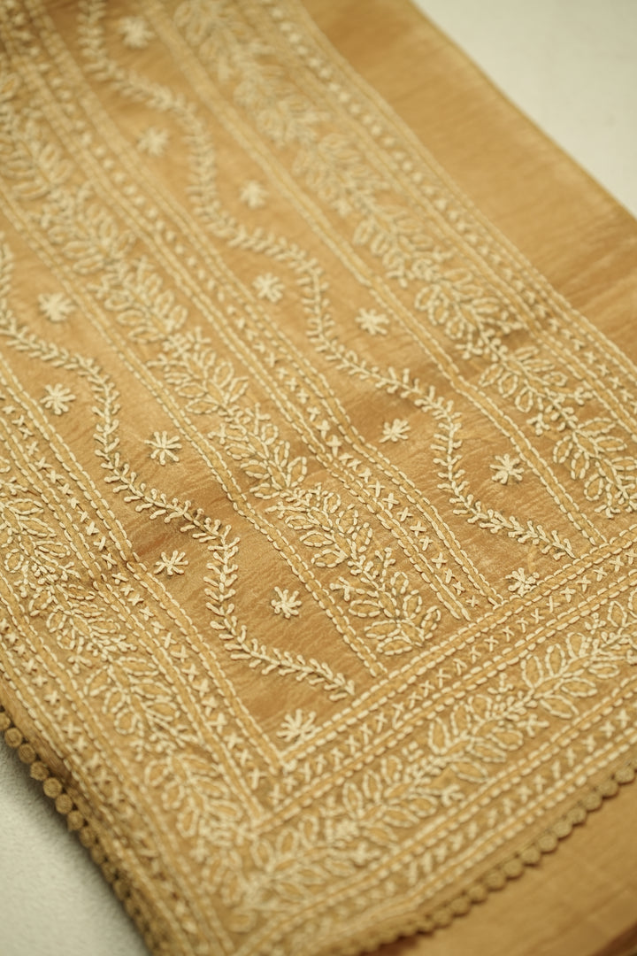 Crushed Organza Saree TSA0320