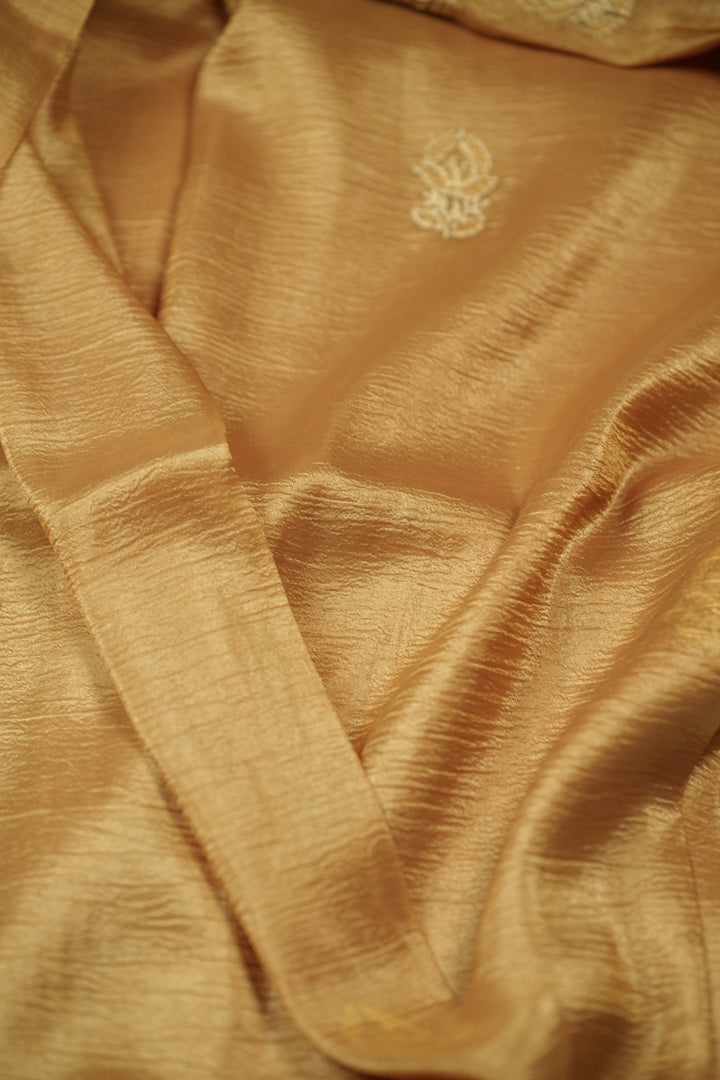 Crushed Organza Saree TSA0320