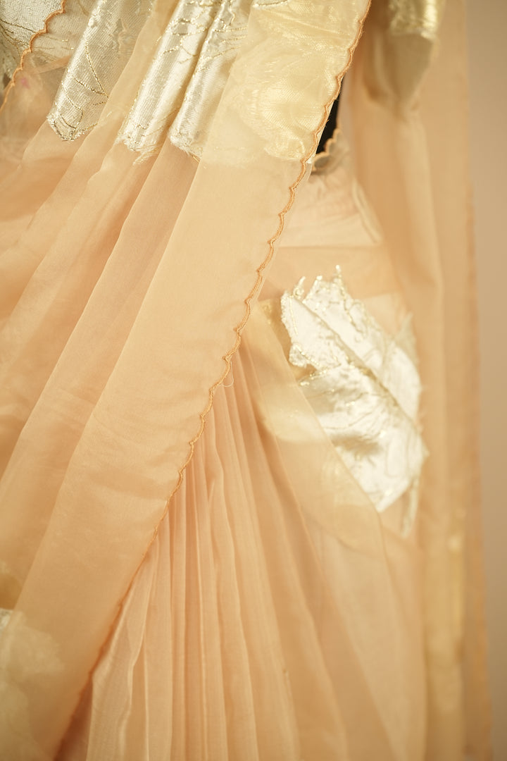 Organza Saree TSA0355