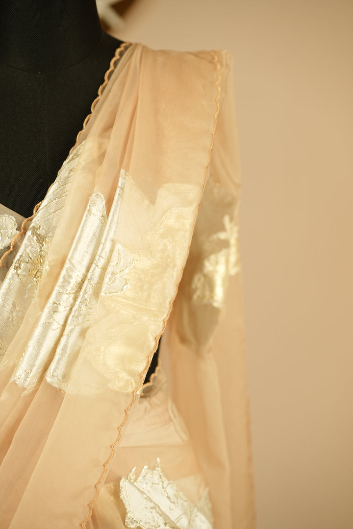 Organza Saree TSA0355