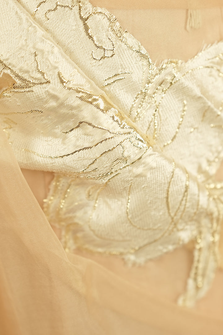 Organza Saree TSA0355