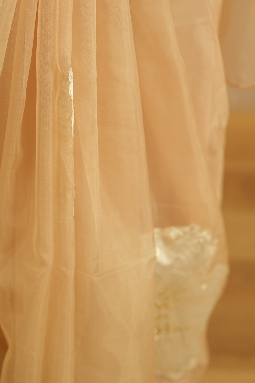 Organza Saree TSA0355