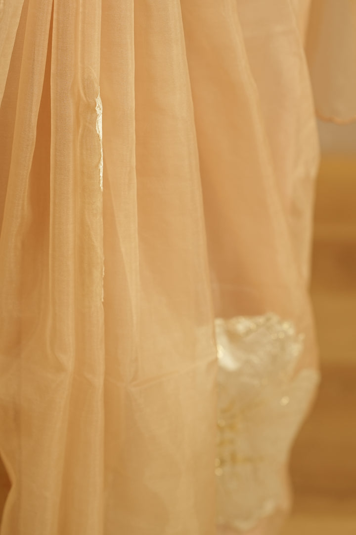 Organza Saree TSA0355
