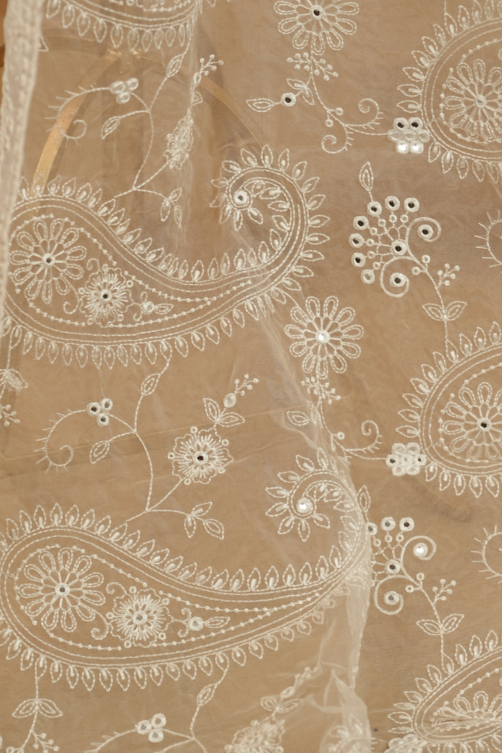 Organza  Dupatta TDA383