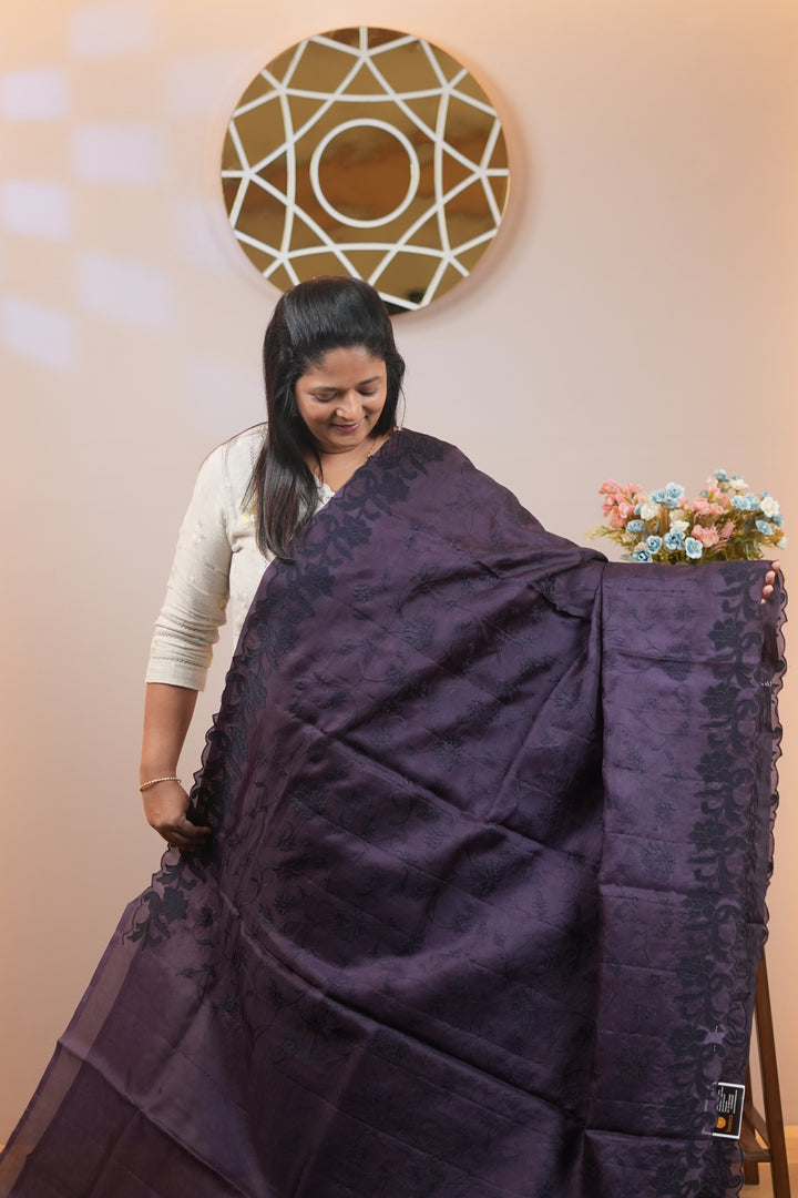 Organza Saree TSA5058