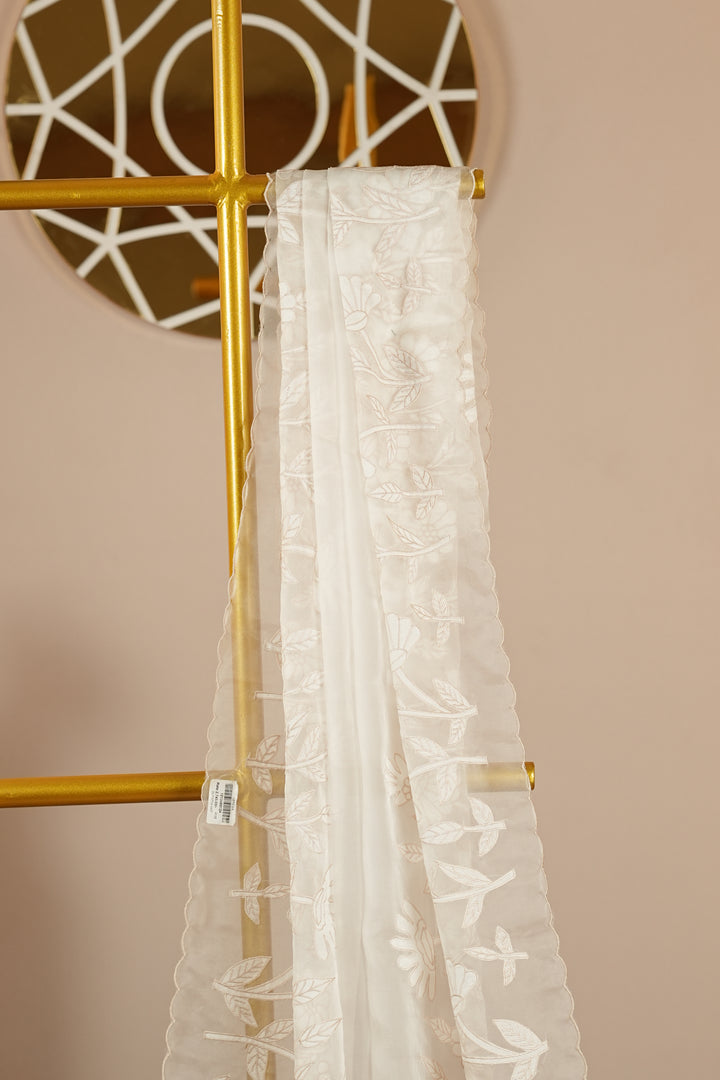 Organza Dupatta TDA393