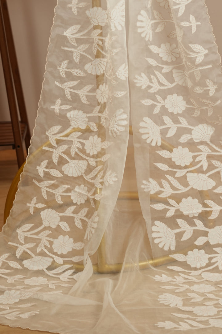Organza Dupatta TDA393