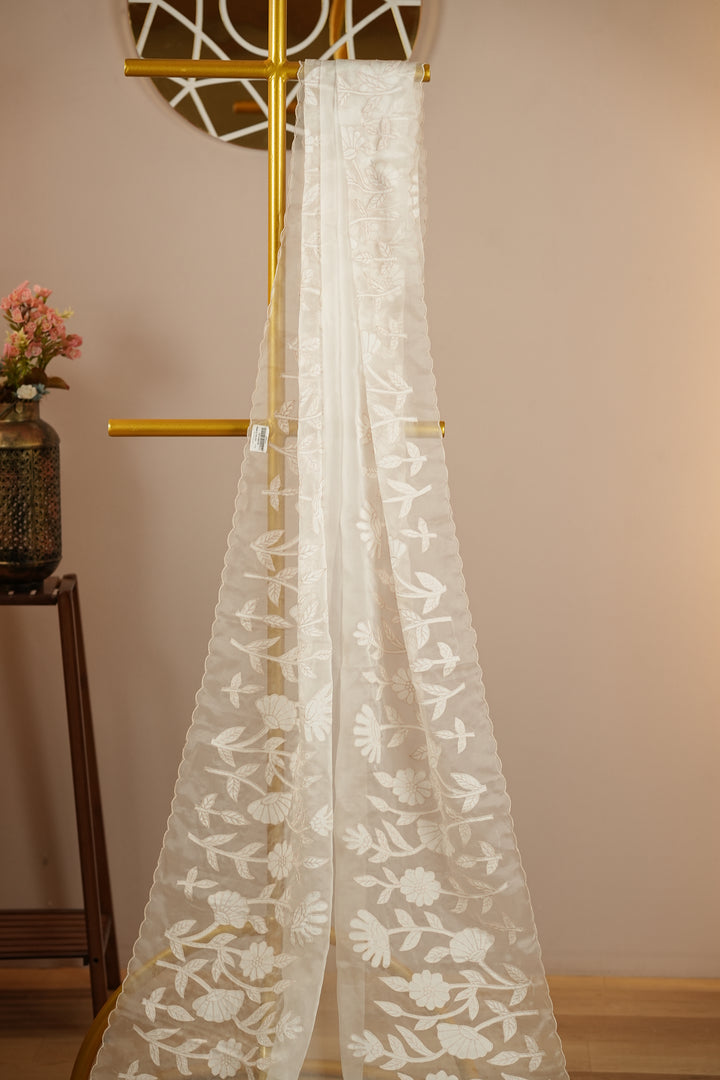 Organza Dupatta TDA393