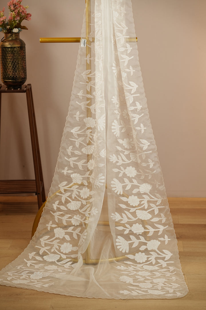 Organza Dupatta TDA393