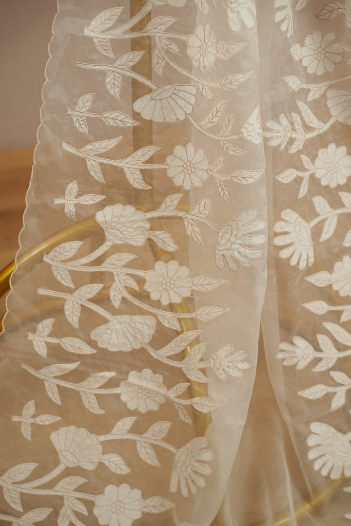 Organza Dupatta TDA393