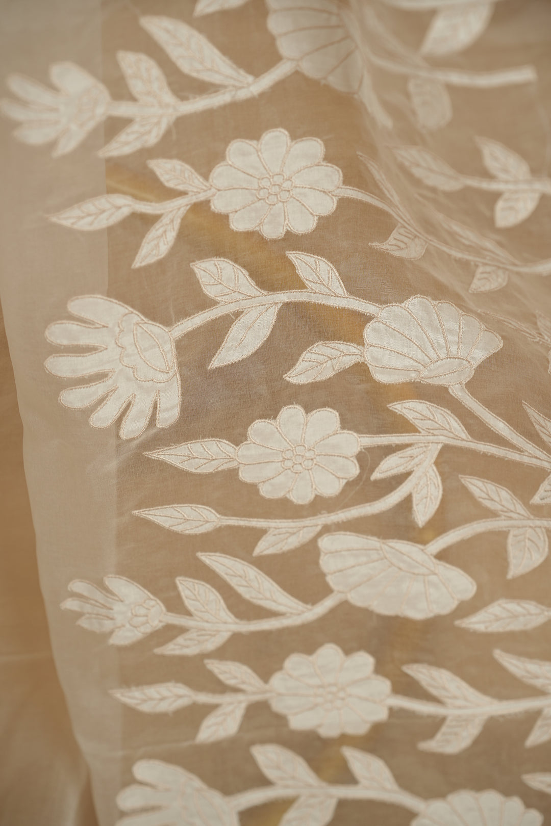 Organza Dupatta TDA393