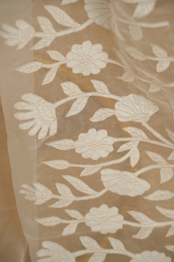 Organza Dupatta TDA393